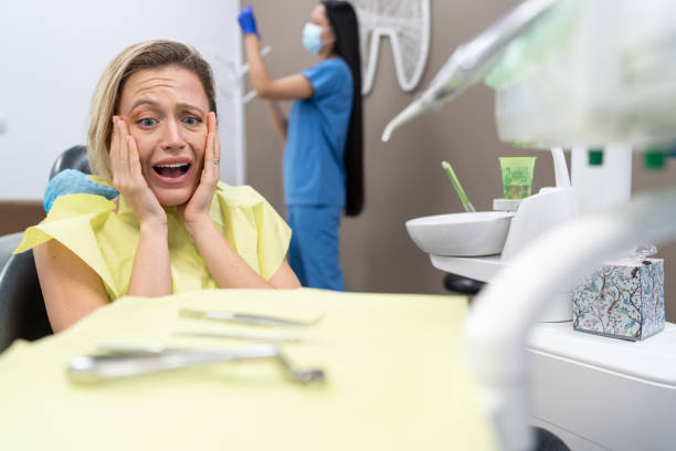 Best Cosmetic Emergency Dentistry in St Croix Falls, WI